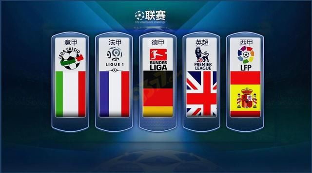 为12大类